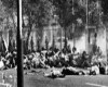 جمعه سیاه که انقلابی سرخ بوجود آورد