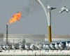 رونمایی از طرح جدید ۸ میلیارد دلاری گاز ایران