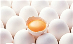 قیمت تخم مرغ روز شنبه در کارگروه ویژه تعیین می‌شود