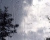 بارش باران در پایتخت از عصر فردا