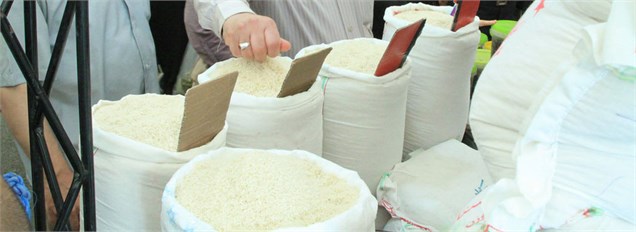درخواست راستی‌آزمایی از تبلیغات برنج در سیما