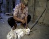 تصاویر دلخراش و حال بهم زن از کباب کردن سگ در اندونزی (18