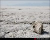 هشدار روحانی درباره وقوع طوفان نمک