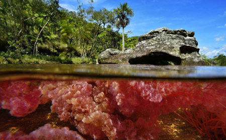 رودخانه ۵ رنگ در کلمبیا + تصاویر