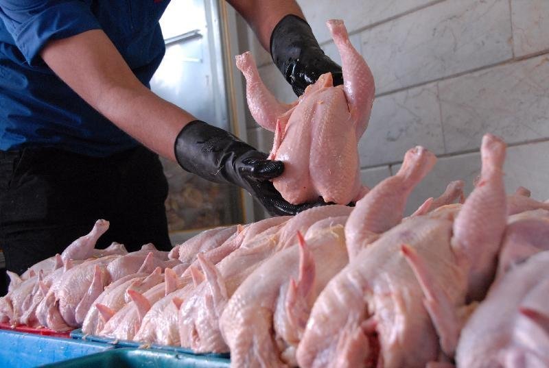 تشریح اقدامات دولت برای کنترل بازار/ عرضه مرغ منجمد افزایش یافت