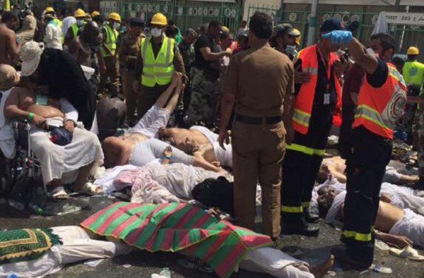 همه بیمارستان های عربستان را جستجو کردیم/آمار نهایی قربانیان ایرانی فاجعه منا 464 نفر است