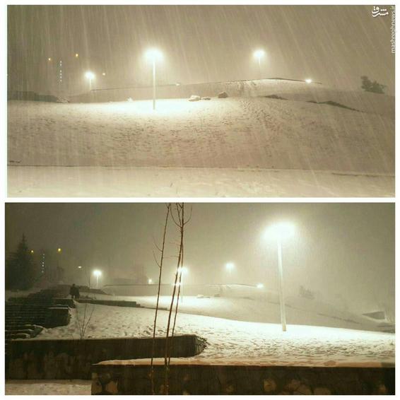 بارش برف شب گذشته در تهران +عکس