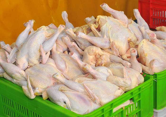 کاهش تقاضا قیمت مرغ را ارزان کرد/ فیله مرغ 15 هزارتومان