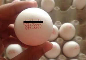 توزیع تخم مرغ ارزان قیمت در بازار