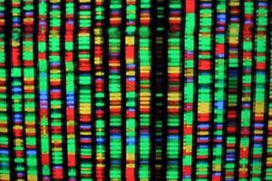 رمزگذاری DNA انسان ممکن شد