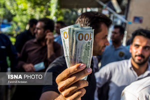 نهنگ‌هایی که دولت از حوض بازار ارز صید کردند