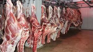 متروکه شدن ۷۰ کانتینر گوشت تنظیم بازاری