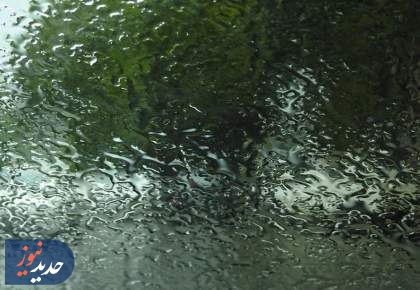 ترنم بارش تابستانی باران در گیلان + تصاویر