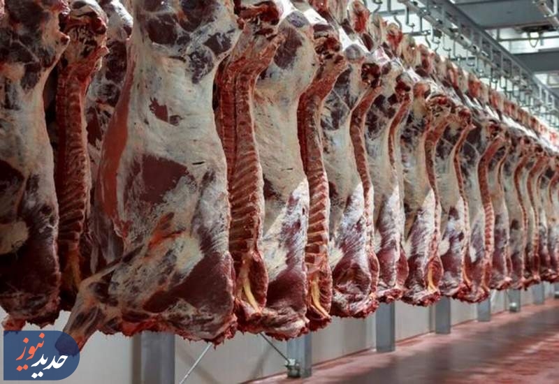 آرامش در بازار گوشت قرمز با توزیع گوشت‌های وارداتی