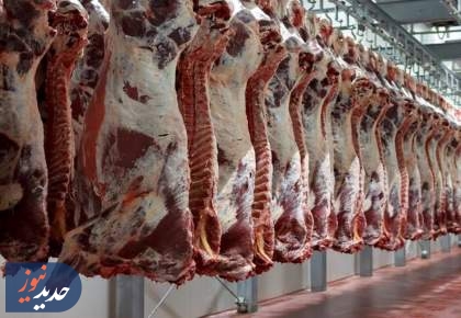 آرامش در بازار گوشت قرمز با توزیع گوشت‌های وارداتی