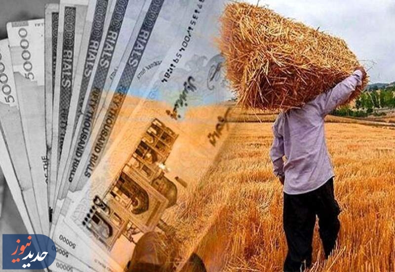 وعده‌های ادامه‌دار مسئولان و مطالبات ماندگار گندمکاران