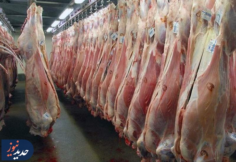 توزیع گوشت تعادلی | واردات روزانه ۳۰۰ تن گوشت گرم