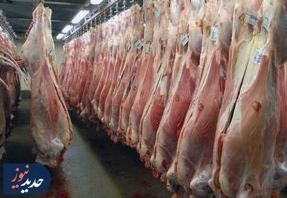 توزیع گوشت تعادلی | واردات روزانه ۳۰۰ تن گوشت گرم