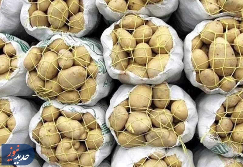 فروش سیب‌زمینی پاکستانی در تره بار تهران