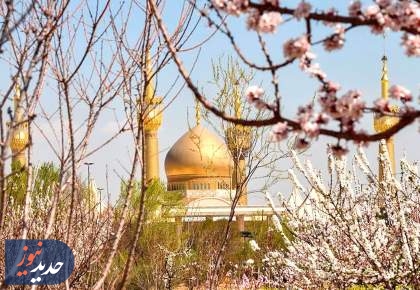 حال و هوای بهاری حرم امام خمینی(ره) + تصاویر  