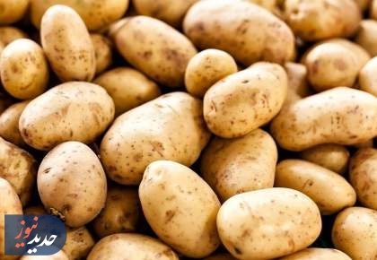 سیب زمینی وارداتی از پاکستان، ایرانی نیست!