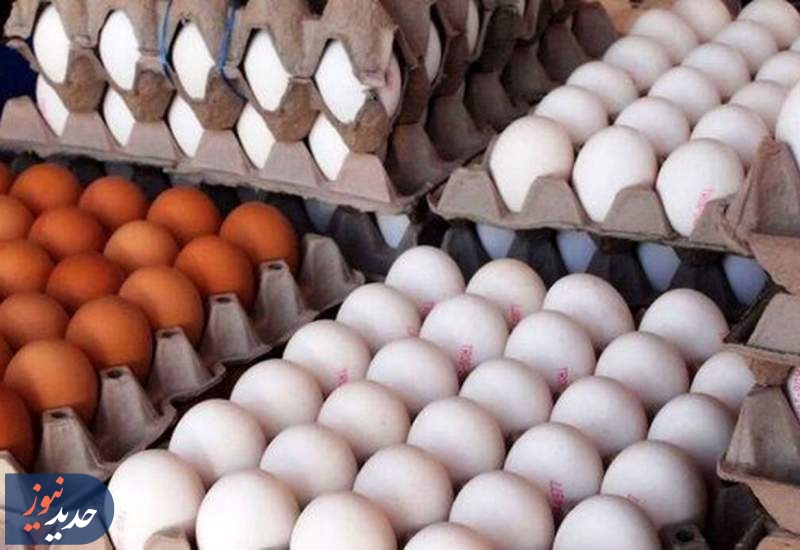 اصلاح قیمت تخم‌مرغ با پیشنهاد ۳۰ درصد افزایش!