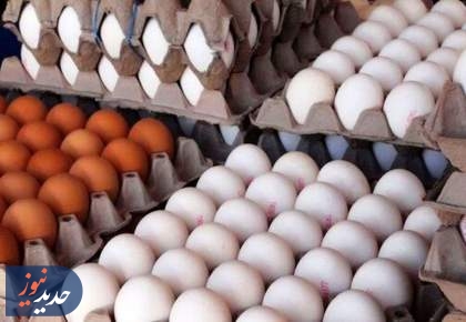 اصلاح قیمت تخم‌مرغ با پیشنهاد ۳۰ درصد افزایش!