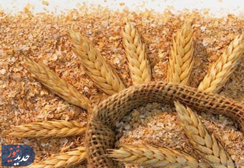 قیمت سبوس گندم آزاد شد