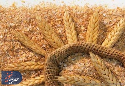 قیمت سبوس گندم آزاد شد