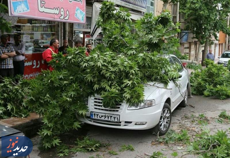 وقوع تندباد در دامنه‌های جنوبی البرز