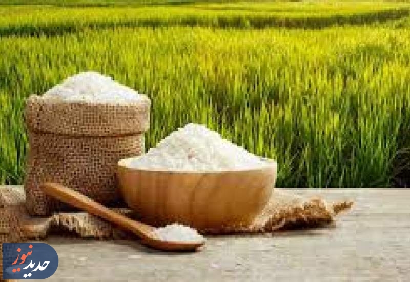 خبر واردات برنج، قیمت برنج را در روزهای آینده می‌شکند
