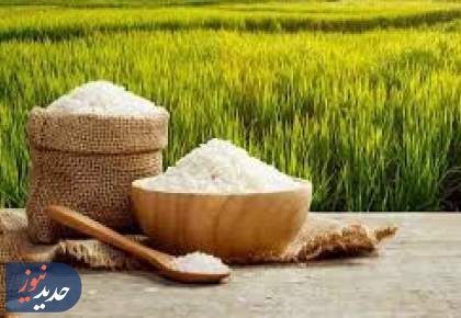 خبر واردات برنج، قیمت برنج را در روزهای آینده می‌شکند