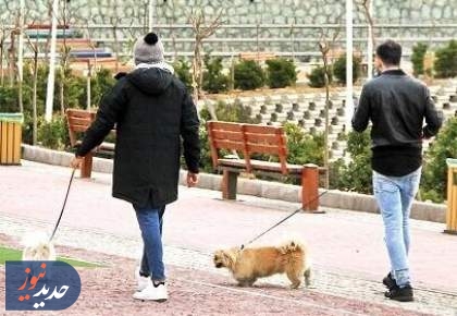 ممنوعیت سگ‌گردانی در اصفهان