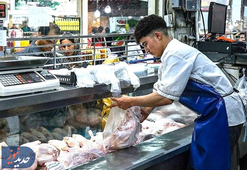 در سایه سوء مدیریت ها، مرغ هم کالای لاکچری شد