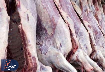 سیاست اشتباه در نهاده دامی قیمت گوشت را نجومی کرد