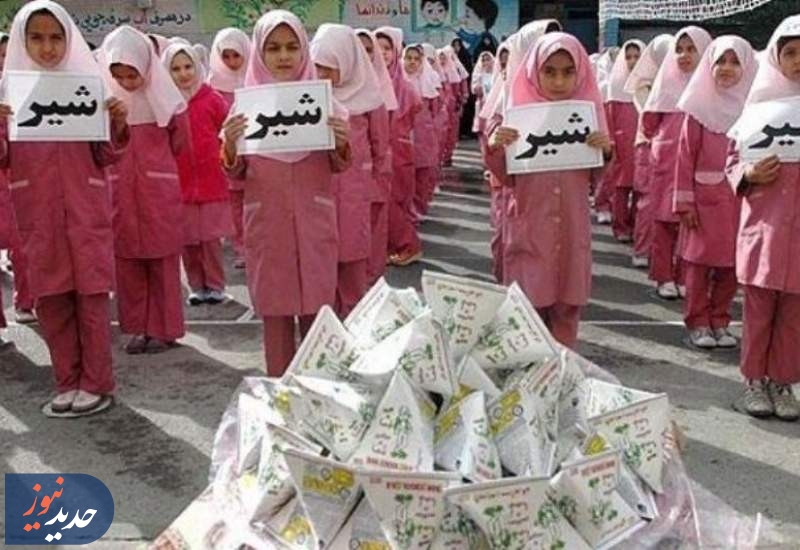شیر برای مدرسه رفتن منتظر پول است