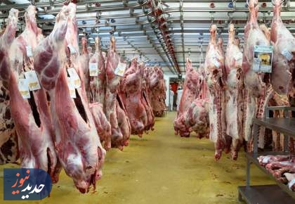 ورود روزانه ۲۰۰ تن گوشت قرمز وارداتی به بازار