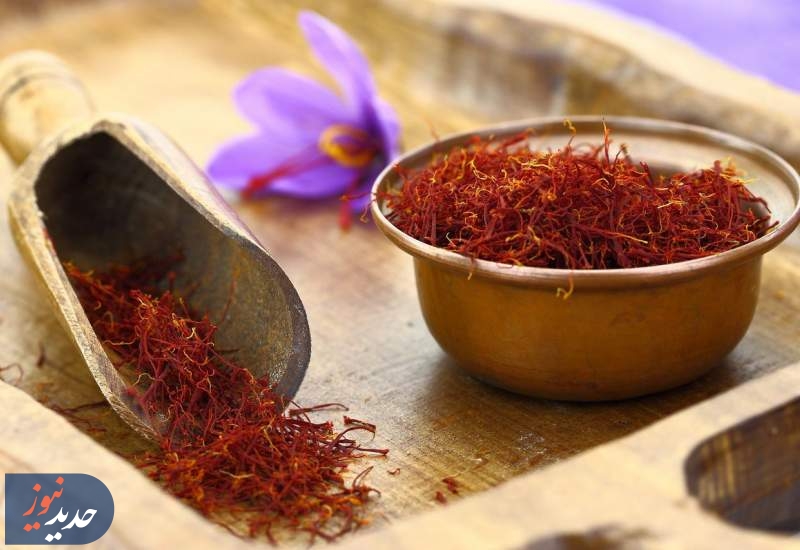 از تربت‌حیدریه تا دوبی؛ رد پای سودهای میلیاردی مافیا