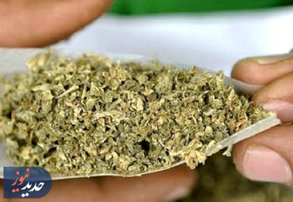 حقایقی تکان‌ دهنده درباره عوارض مخدرها