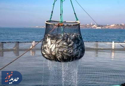 تبدیل دریا و ساحل به فضای کسب‌وکار