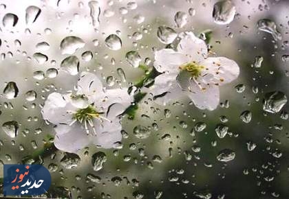 «بارش های پیاپی» ایران را زنده کرد + فیلم  <img src="/images/video_icon.png" width="16" height="16" border="0" align="top">