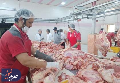 گوشت قرمز چرا گران‌شد؟