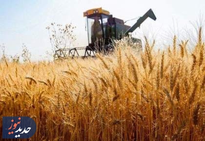 دولت به جای افزایش قیمت گندم، یارانه می دهد؟!