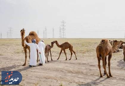 بسته‌شدن تنگه هرمز، کویت را در بحران اقتصادی فرو برد