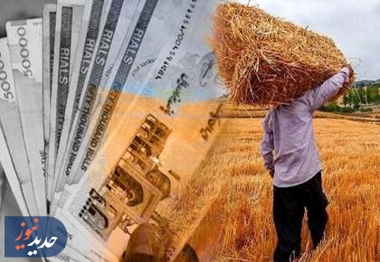 وعده جدید دولت برای تسویه مطالبات گندمکاران